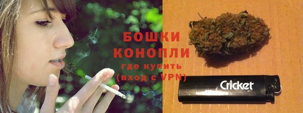apvp Елабуга